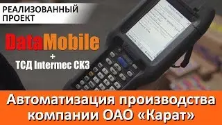 Автоматизация производства Компании ОАО «Карат»