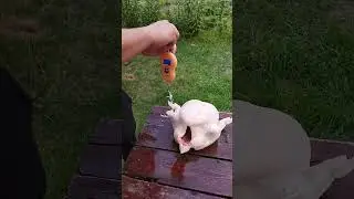 Последний забой бройлера