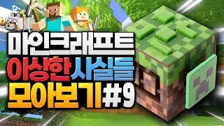 마인크래프트 이상한 사실들 모아보기 #9 (Minecraft)
