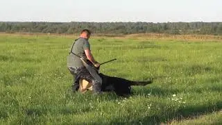 Гир,  лобовая атака