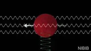 Physics of MRI Signal: How does an MRI scan works