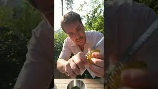 DESWEGEN serviere ich CHIMICHURRI zu jedem GRILLABEND | 