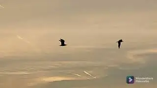 Жизнь у моря вечером.Закат на море.15.12.2021.Испания/Spain