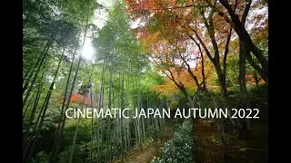 Cinematic Japan Autumn 2022
