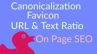 On Page SEO- Canonicalization|Favicon|URL Optimized|Code to Text| In Hindi