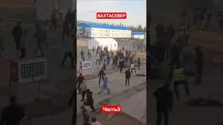 Драка на вахте. Узбеки киргизы 