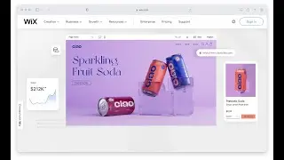 How to Add any Javascript Code Snippet to Wix