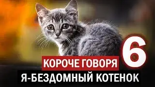 КОРОЧЕ ГОВОРЯ, Я БЕЗДОМНЫЙ КОТЕНОК 6 [От первого лица] БЕЗДОМНЫЙ ЩЕНОК. ИСТОРИЯ ОДНОЙ ЖИЗНИ