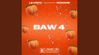 BAW 4