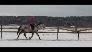 Разминка  зимнее  время 7  мин рыси