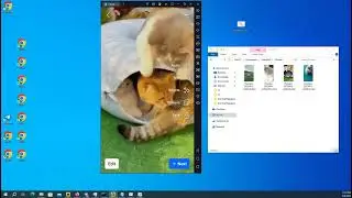 របៀបទាញវីឌីអូចូល LD សម្រាប់ផុសដោយមិនចាំបាច់ Restart LD​​| ធ្វើអោយវីឌីអូស្គាល LD ដោយមិនចាំបាច់Restart