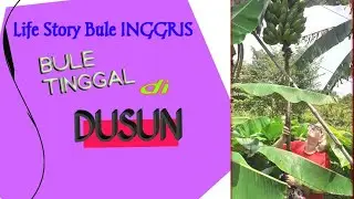 Bule Tinggal di Dusun : Life Story Bule Inggris (5)