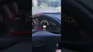 4 августа 2024 г.
