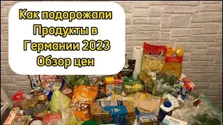 Влог очередная закупка, цены на продукты Германия 2023
