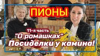 Посиделки у камина. Часть 11. Пионы c простой формой цветка / Сад Ворошиловой