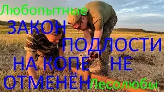 Хорошее железо есть, но закон подлости на копе никто не отменял