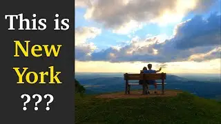 WE RENTED A CABIN IN NEW YORK