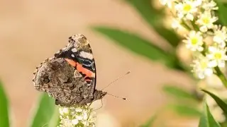 Ingezonden foto bewerking deel 33 : Van registratie naar verhalend