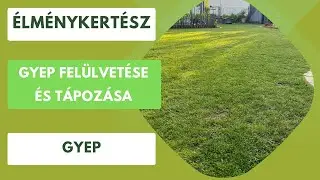 A gyep tápozása és felülvetése🏡