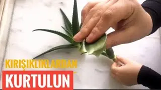 MIRACULOUS CREAM WITH ALOE VERA ✔️ How to Make Aloe Vera Cream? MAKING CREAM WITH ALOE VERA