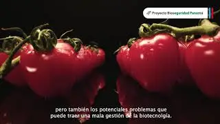 Gestión de la bioseguridad