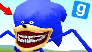 SONIC TAPES sur GARRY'S MOD !! 😱 (flippant)