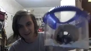 Знакомлю со своими зверями два