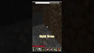 MINECRAFT But The World UPDATES 