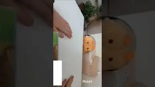 первое видео канала Пёс-блогер.