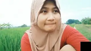 Viral di tiktok, cwek kebelet pipis di sawah 🤭🤣🤣