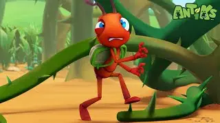 Antidote | Antiks 🐜 | Funny Cartoons for Kids