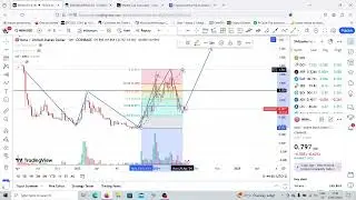 Mina Crypto Price 3000% From Here- Shocking video