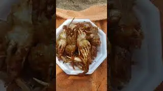 отлив,крабы!