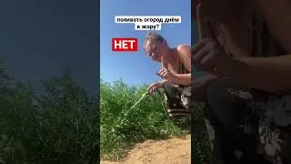 💦КОГДА ПОЛИВАТЬ ОГОРОД?😜 
