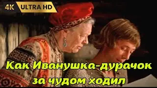 КАК ИВАНУШКА - ДУРАЧОК ЗА ЧУДОМ ХОДИЛ  ( 1977 )   /  семейный, фэнтези,  Ultra HD 4K