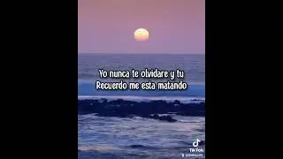 morat , Danna paola - Idiota