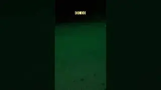 Fd crash