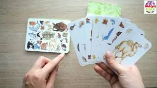 Игра Занималка Djeco DJ05153