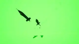 Green Screen 3D Models Animation 62