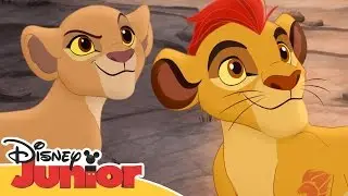 Lejonvakten: Kiara omringad av hyenorna - Disney Junior Sverige