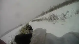 Охота на зайца с Фаготом!!! 4 января 2021 года.