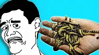 НУ ОЧЕНЬ ЗЛЫЕ ЗАДАНИЯ.. КУШАЕМ ЖАРЕНЫХ ЧЕРВЕЙ... ЭТО РЕАЛЬНО ОТВРАТИТЕЛЬНО...