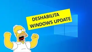 Detiene y Deshabilita WINDOWS UDPATE