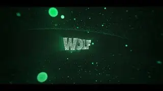 sallox & Fibly | INTRO FOR WOLF