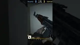 300%IQ Counter Strike GO EIS #best #india #game #steam #proplayer #eis #меме #meme
