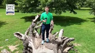 ONE YEAR LATER: Reminders of Father's Day derecho scattered around Tulsa