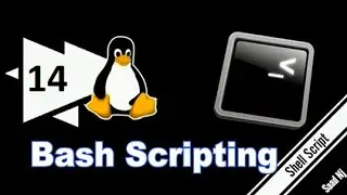 Bash Scripting (14) Functions