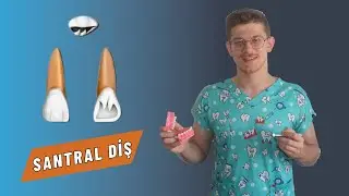 SABUNDAN MAXİLLAR SANTRAL DİŞ YAPIMI
