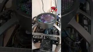 13 августа 2024 г.
