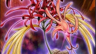 PS5 Tournament 2nd Place Amaryllis Deck Profile